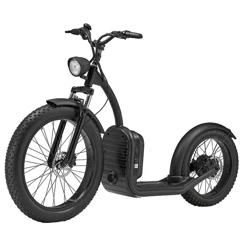 Electric Fat Tire Motorcycle City coco Scooter Luqi L2