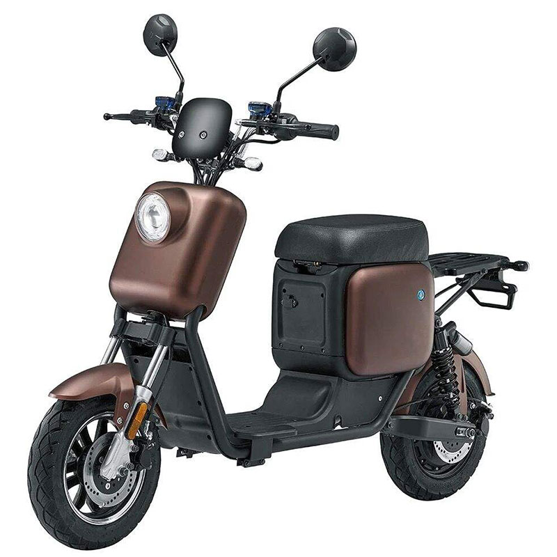 Electric Motorcycle Fat Tire 1000W Eec City Coco Scooter Luqi Q3