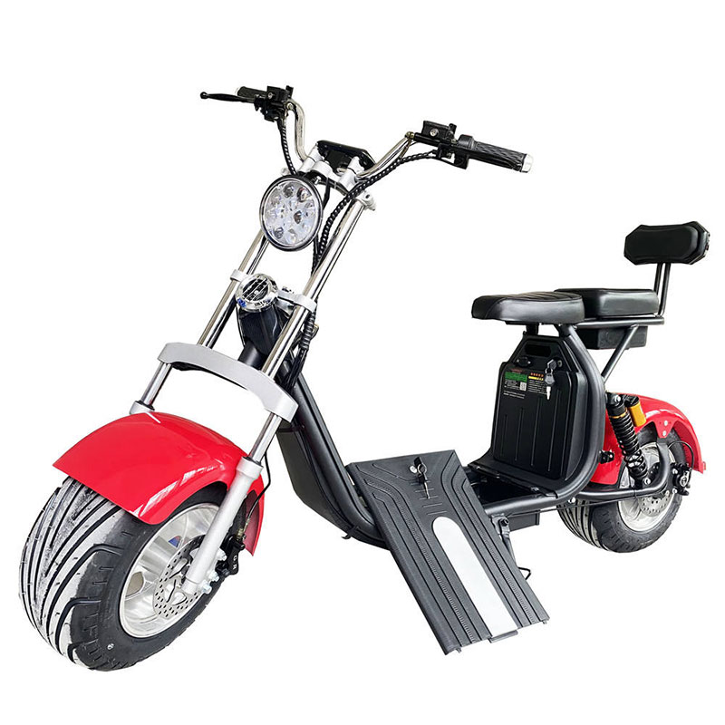 Lithium Battery With Removable Fat Tire City Coco Electric Scooter X10