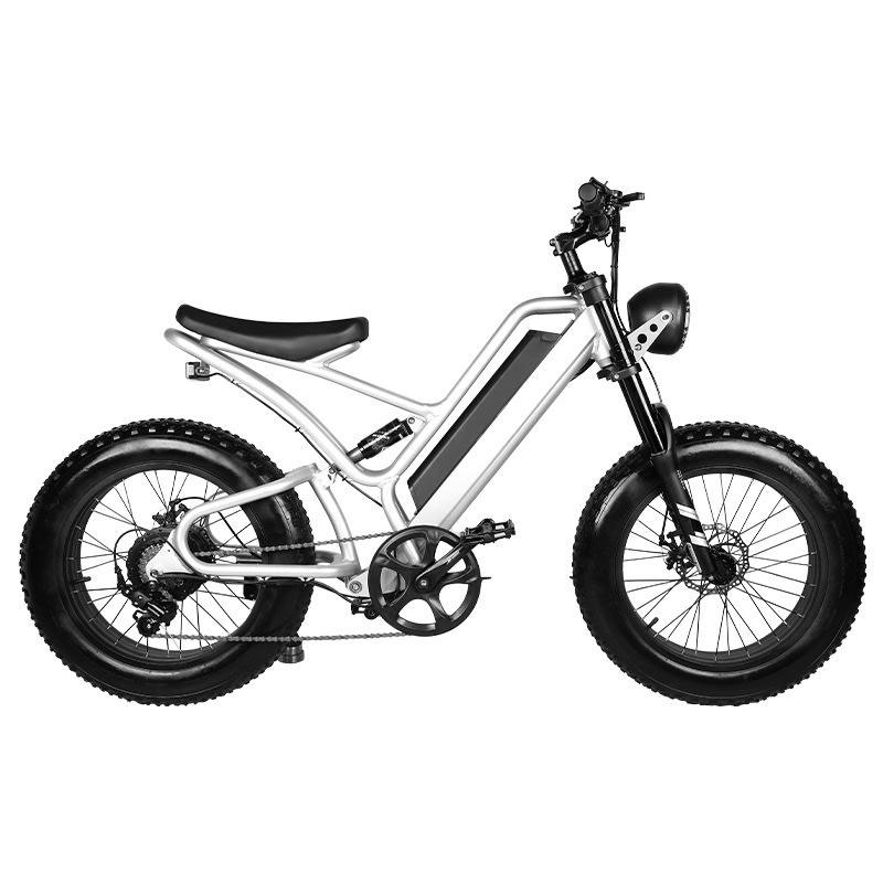 20 Inch 48v Powerful Chopper 350w For Adults Electric Bike