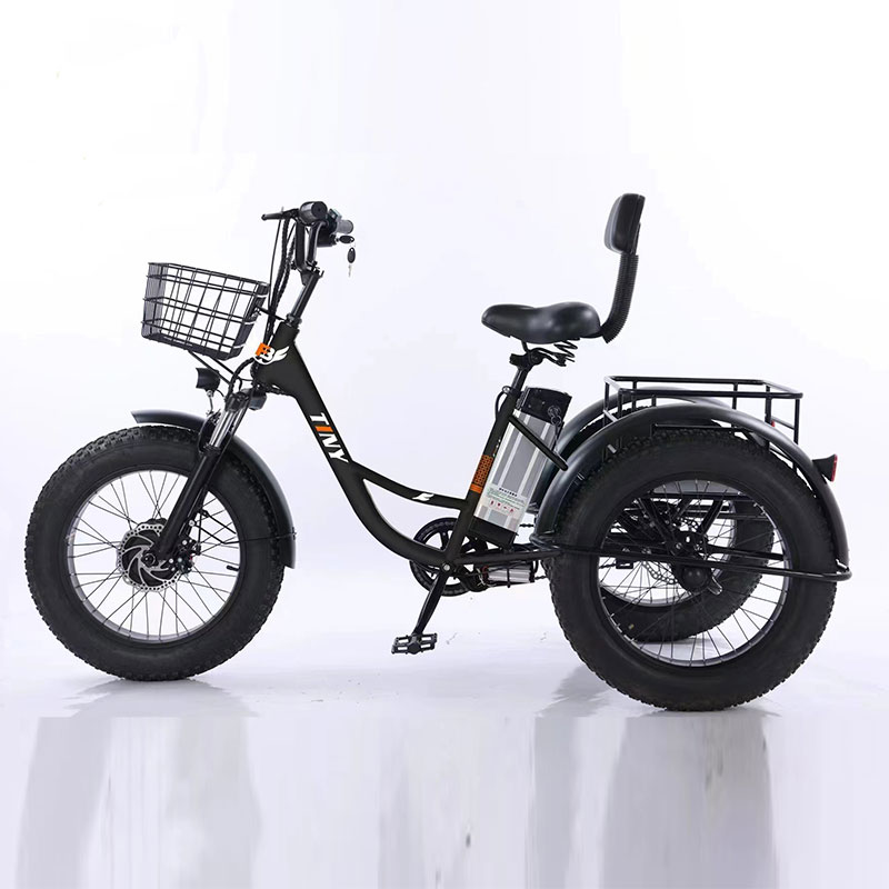 20 Inch Electric Fat Tire Snow Tricycle 500W 48V