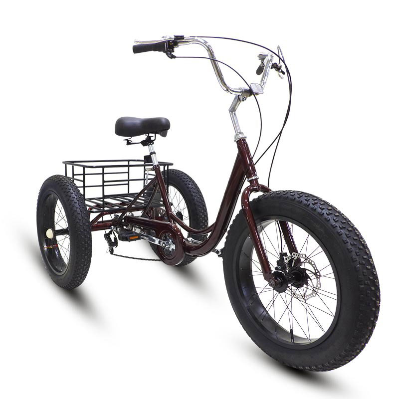 20 Inch Fat Tire 7-Speed Snow Tricycle