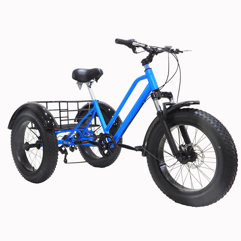 20 Inch Fat Tire Snow Tricycle